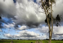 巴黎圣日耳曼与马赛将进行关键对决